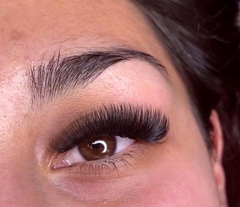 Close-up of a woman's eye with dramatic black false eyelashes and defined eyebrows